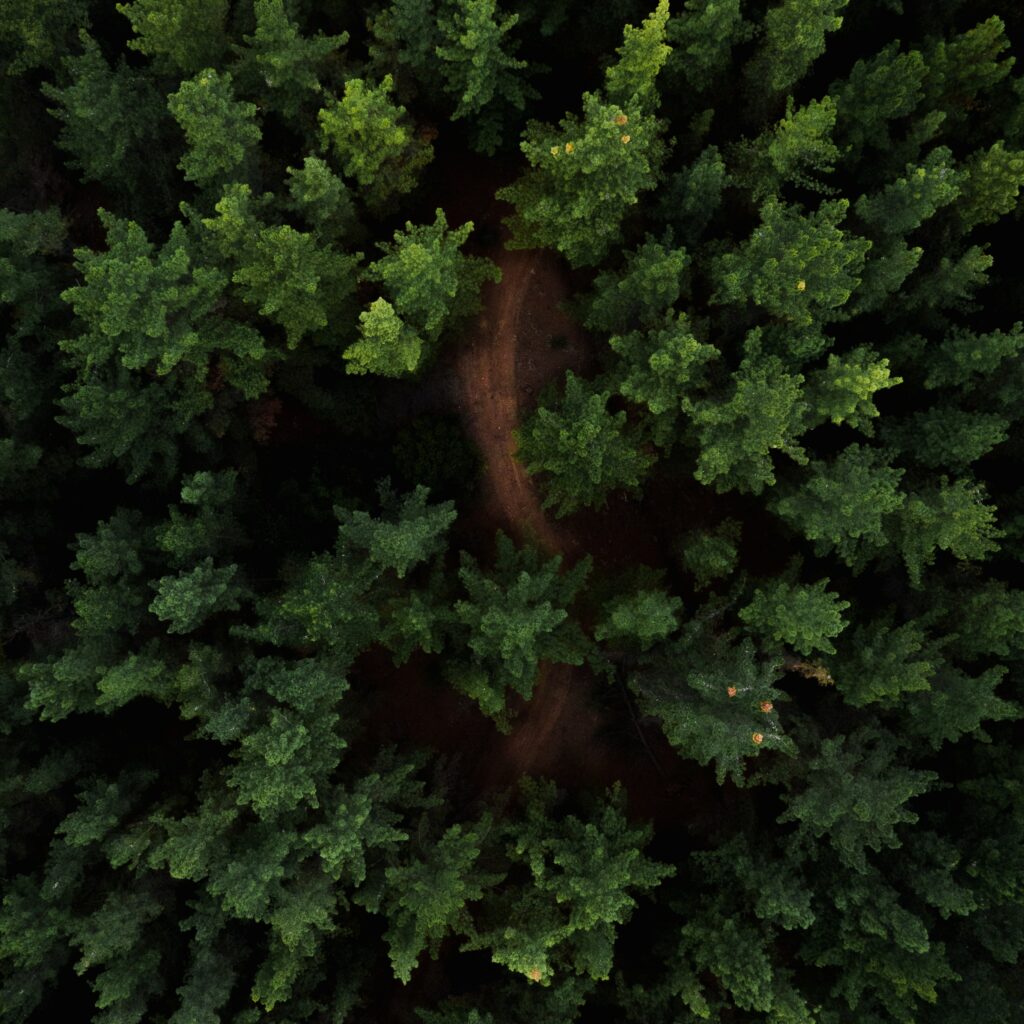 mesures écologiques