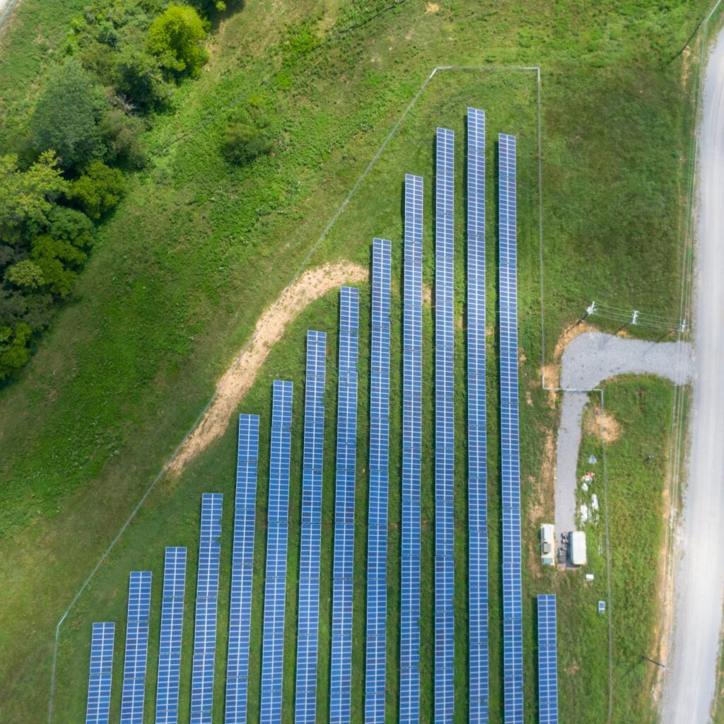 panneaux solaires organiques