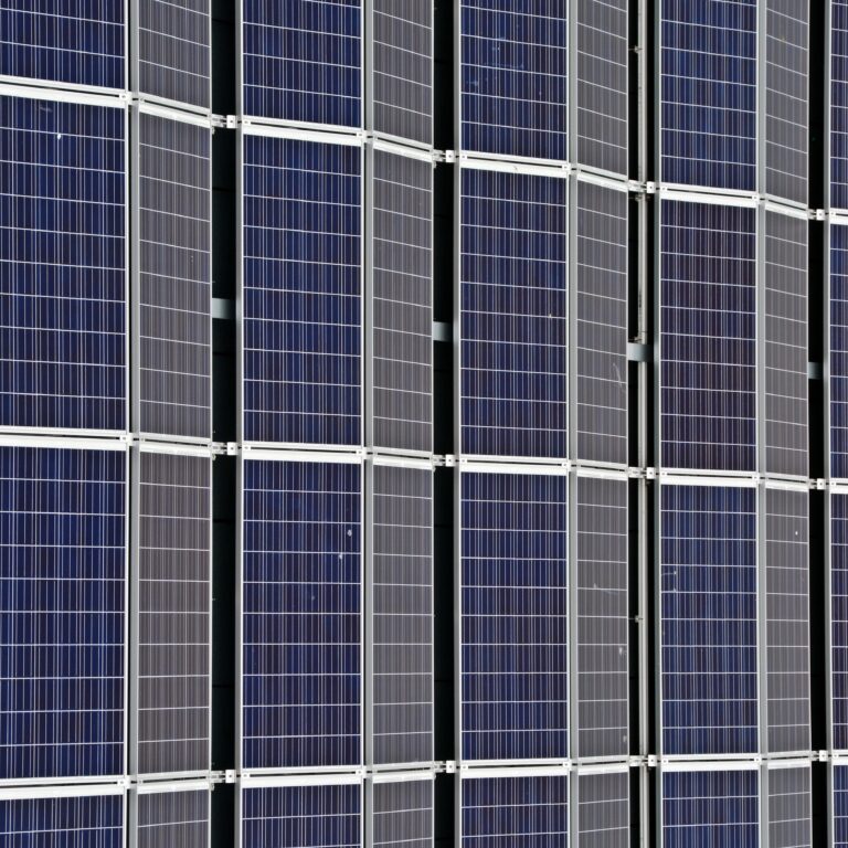 panneaux solaires organiques